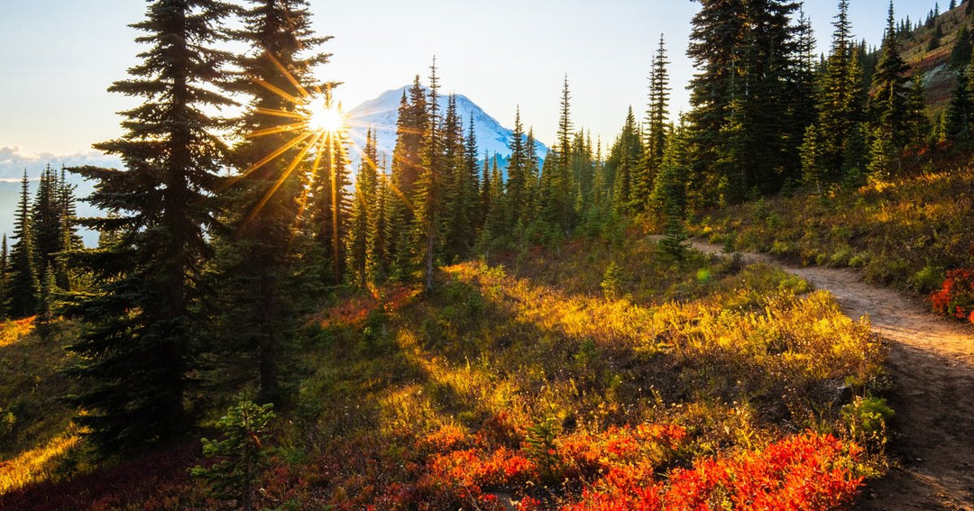 Beginner Hiking Mistakes to Avoid in the Pacific Northwest (Expert Guide)